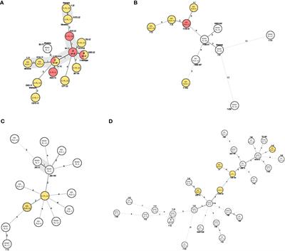 Phylogenetic relationships of Mycobacterium tuberculosis isolates in Poland: The emergence of Beijing genotype among multidrug-resistant cases